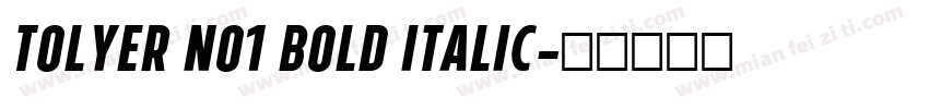 Tolyer No1 Bold Italic字体转换